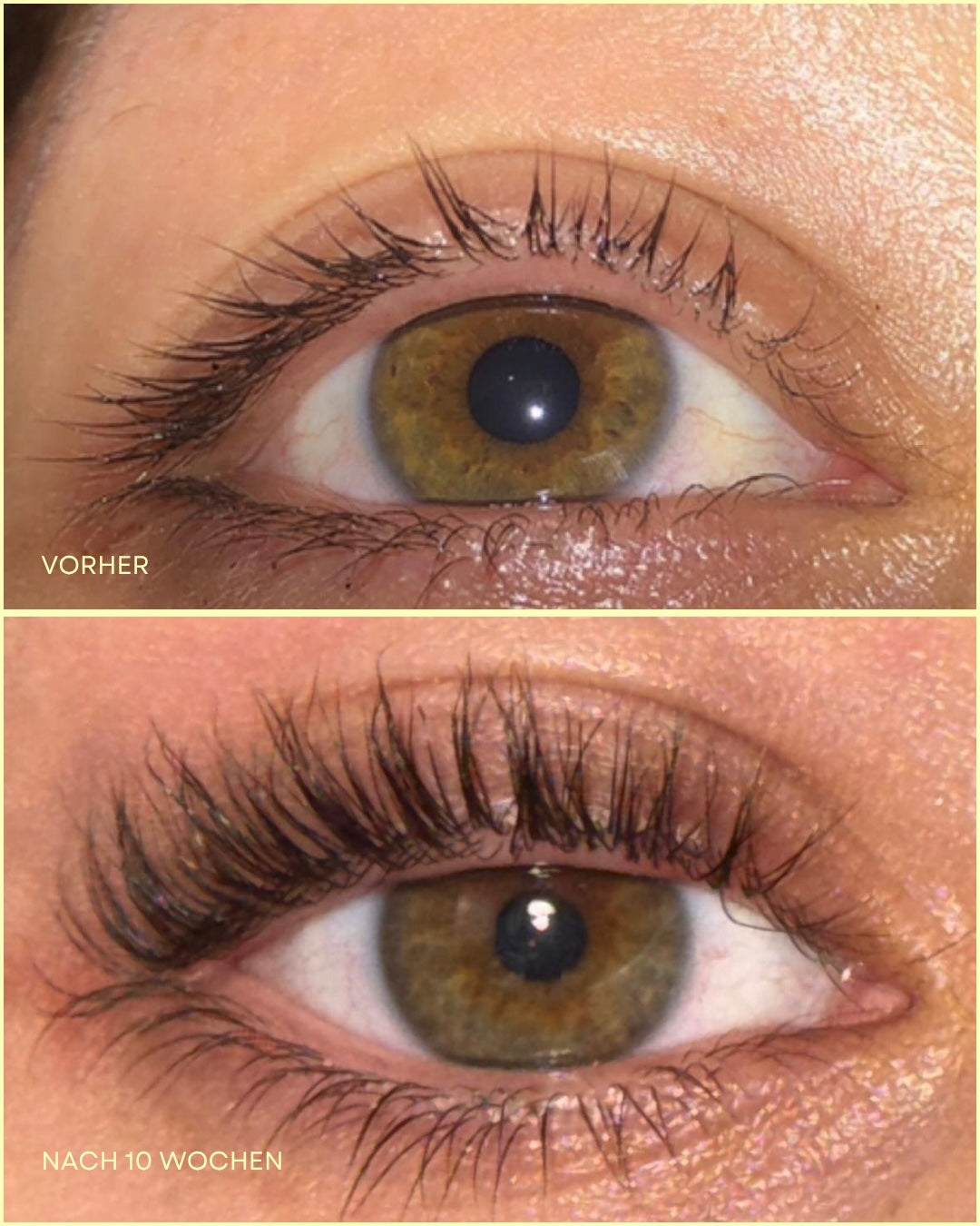 LASH SERUM - Original Wimpernserum