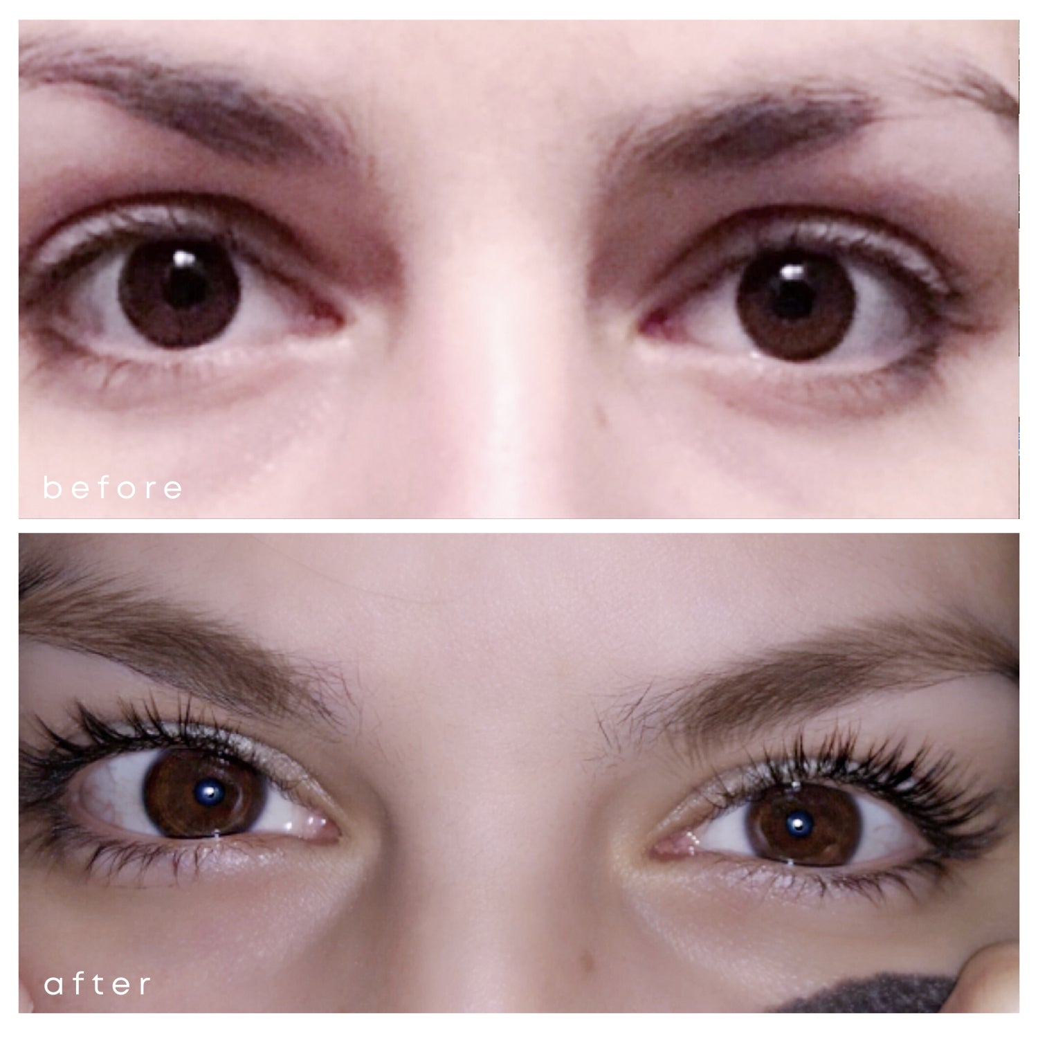 LASH & BROW Set - Eyelash Serum + Eyebrow Serum