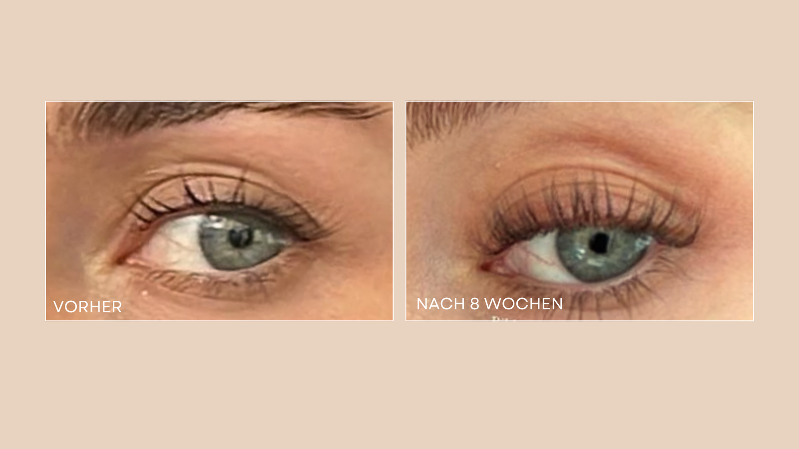 Wie lange brauchen Wimpern zum Wachsen? Der vollständige Zeitplan für traumhafte Wimpern